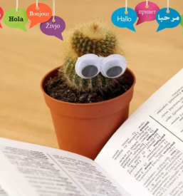 Ugodni tecaji italijanscine ljubljana