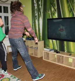 Vpis v dijaski dom ljubljana