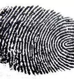 Kontrola bolniske po sloveniji