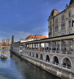 kvalitetni prevozi z ladjico za skupine po ljubljanici