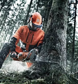 Odkup hlodovine dolenjska