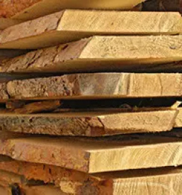 Prodaja lesa za terasne pode Štajerska