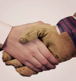 Proizvodnja sekancev dolenjska