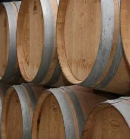 Degustacija vin in suhomesnati izdelki savinjska