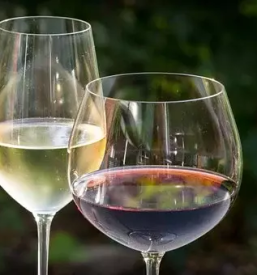 Degustacija vin in suhomesnati izdelki savinjska