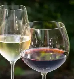 Degustacija vin in suhomesnati izdelki savinjska