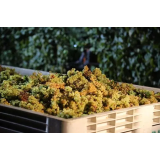 TURISTIČNA KMETIJA - VINOTOČ FAJFAR