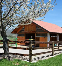 Dobra domacija v sloveniji