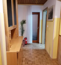 prostoren druzinski apartma breznica zirovnica