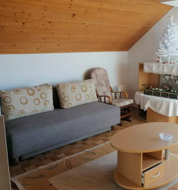 čist druzinski apartma breznica zirovnica