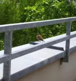 Poceni montaza ograj slovenija