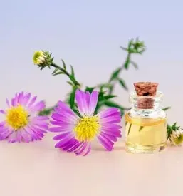 Dober wellness primorska