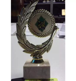 Graverstvo ljubljana