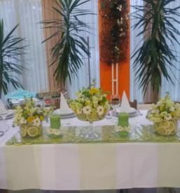 Malice in kosila ribnica