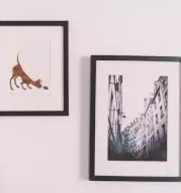 Okvirjanje slik novo mesto trebnje