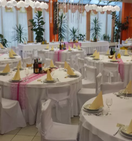 Prostor za zakljucene druzbe ribnica