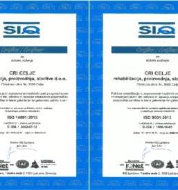 Zaposlitveni center tezje zaposljivih oseb celje