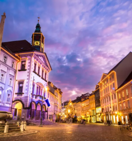 Nepremičninski agent Ljubljana