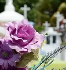 Pogrebne storitve novo mesto