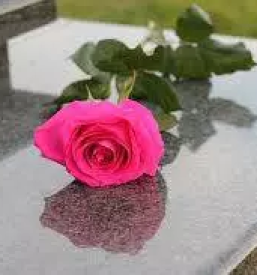 Pogrebne storitve novo mesto