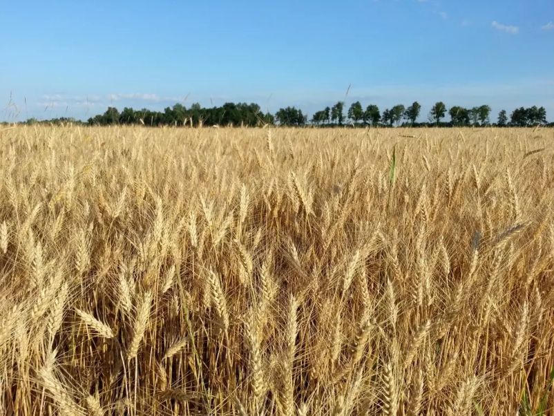 Semenarstvo Lendava, Pomurje