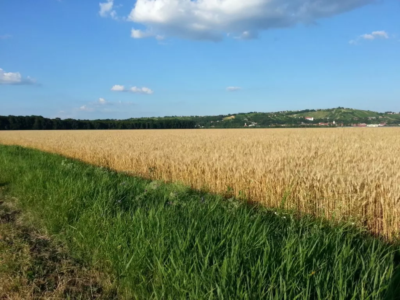 Semenarska dejavnost Lendava in Pomurje