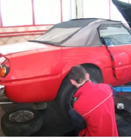 Dober avtolicar savinjska