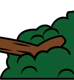 Obrezovanje in podiranje visokih dreves Ljubljana, Osrednja Slovenija