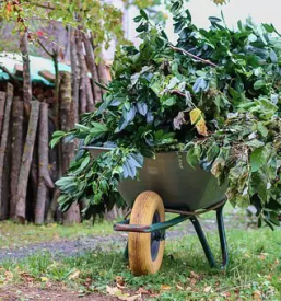 Obrezovanje in podiranje dreves Ljubljana