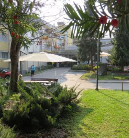 Razvoz hrane starejsim dolenjska