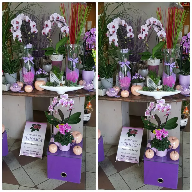 Obiščite cvetličarno v Zasavju, dovolite, da vas razvajamo s čudovitimi cvetličnimi kreacijami