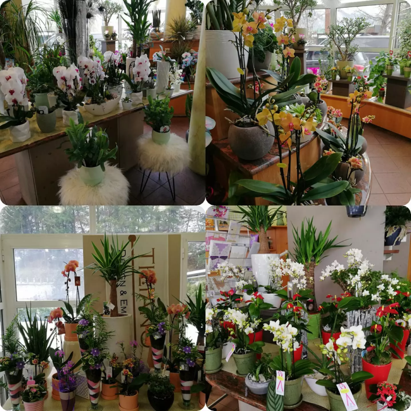 Cvetlični aranžmaji Litija