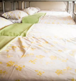 Ugodne nocitve savinjska