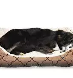 Zoo trgovina gorenjska