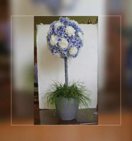 Zalni aranzmaji litija