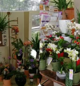 Cvetličarna 