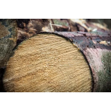 GOZDARSKE STORITVE GREGOR BUTALA S.P.