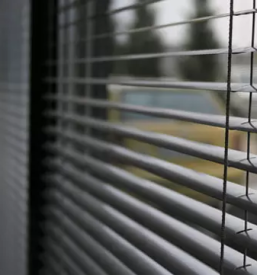 Kvalitetna sencila in komarniki ljubljana