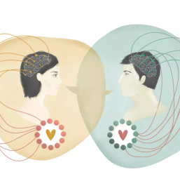 Nenasilna komunikacija ljubljana