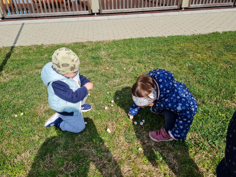 Predšolska vzgoja otrok Šentjernej