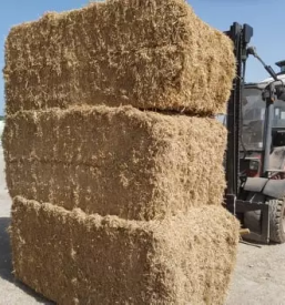 Prodaja prehrane za živali Gorenjska