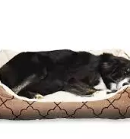 Trgovina za male zivali trzic