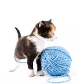 Trgovina za male zivali trzic