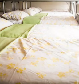 Ugodna prenocisca savinjska