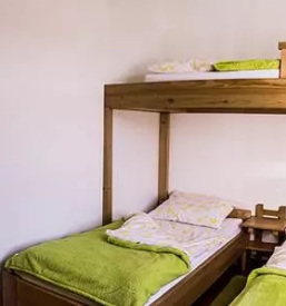 Ugodna prenocisca savinjska