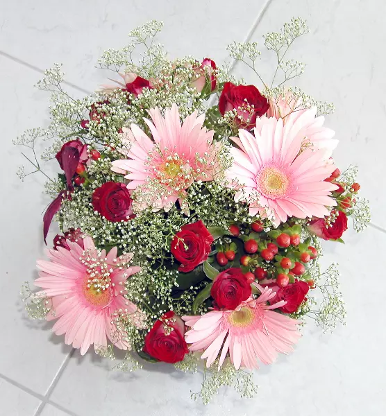 Vse za poroko Novo mesto