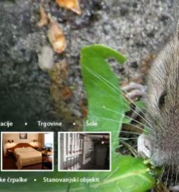 Deratizacija dezinsekcija dezinfekcija ljubljana