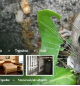 Deratizacija poslovnih objektov slovenija