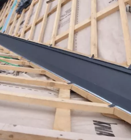 Skeletne hise gorenjska