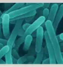 Dezinfekcija slovenija